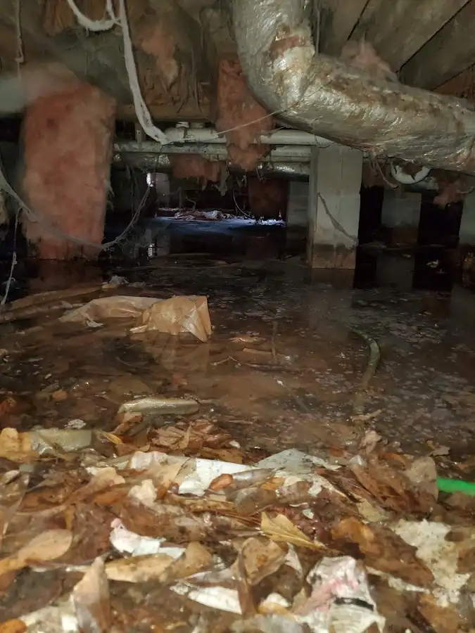 Crawl space flood assessment for Leak Detection & Repair in Kings Park West