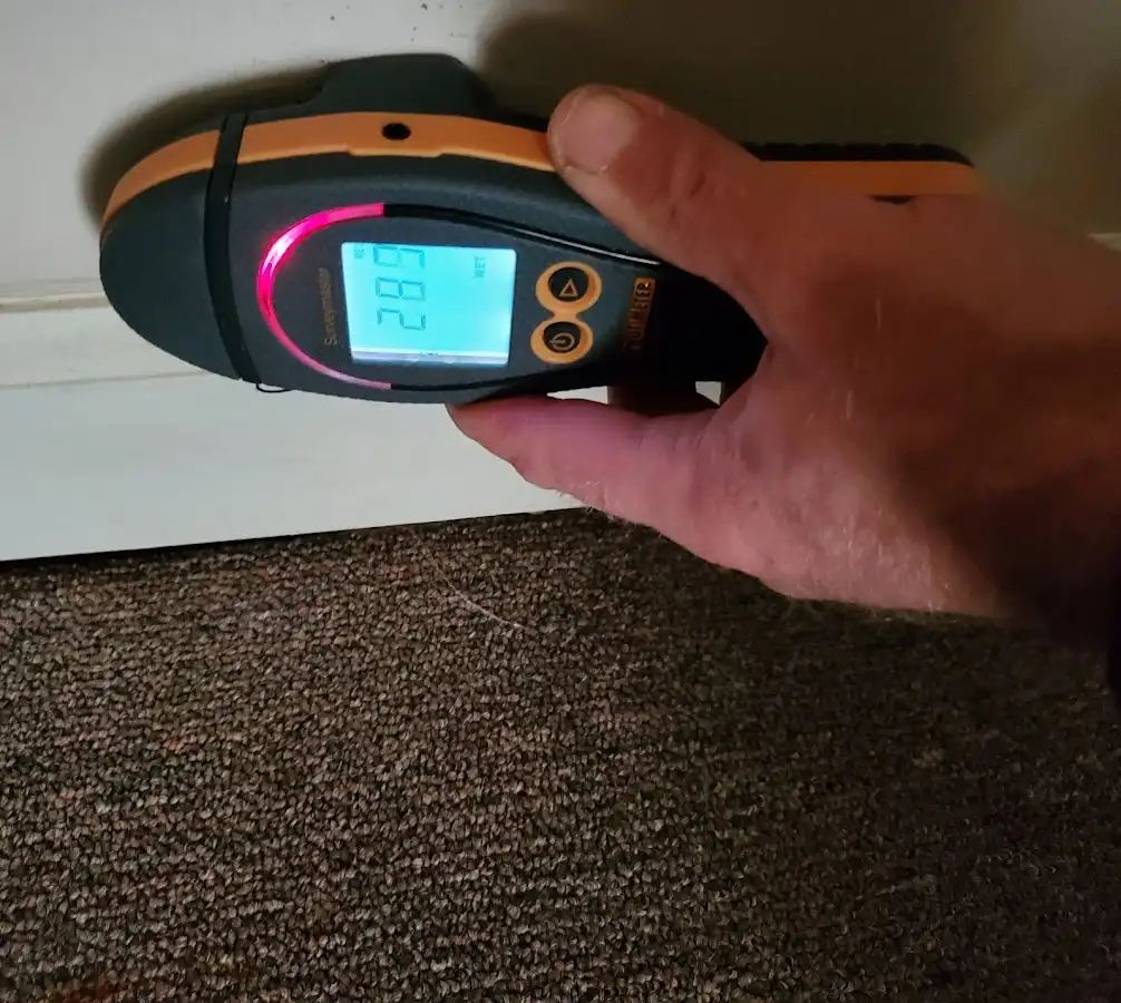 Moisture detection at baseboard during Sewage Cleanup & Sanitation in Kings Park West